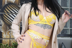 Marie-Fox-AH178-anal-27