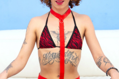 PussyKat-SZ3046-anal-09